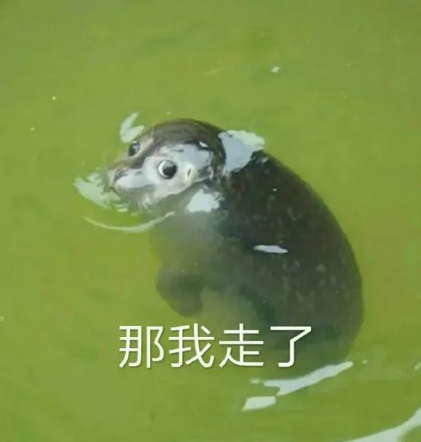 那我走了（那我走了）