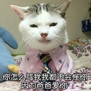这是一只有大哥风范的喵_猫咪_喵星人表情包