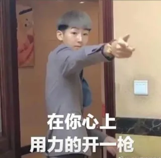 你地寒王表情包