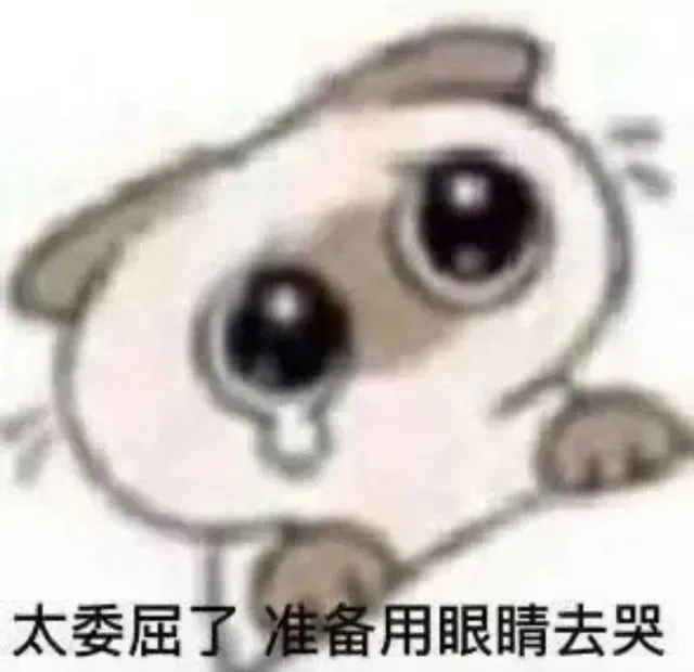 太委屈了准备用眼睛去哭（太委屈了准备用眼睛去哭）