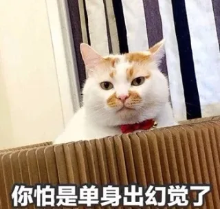 你怕是单身出幻觉了