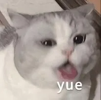 yue（yue）