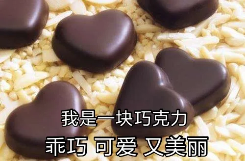 我是一块巧克力，乖巧可爱又美丽