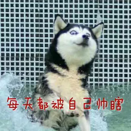 每天都被自己遇瞎（每天都被自己遇瞎）