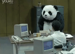 大熊猫摔电脑 GIF（大熊猫摔电脑 GIF）