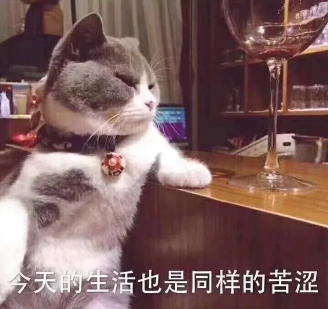 今天的生活也是同样的苦涩，猫星人酒吧喝酒（今天的生活也是同样的苦涩，猫星人酒吧喝酒）