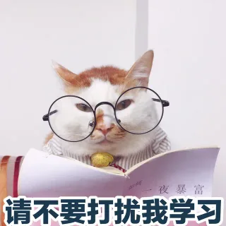 夜暴富请不要打扰我学习