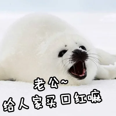 老公，给人家买口红嘛