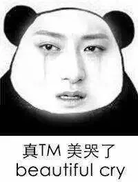 真TM美哭了 beatiful cry（真TM美哭了 beatiful cry）