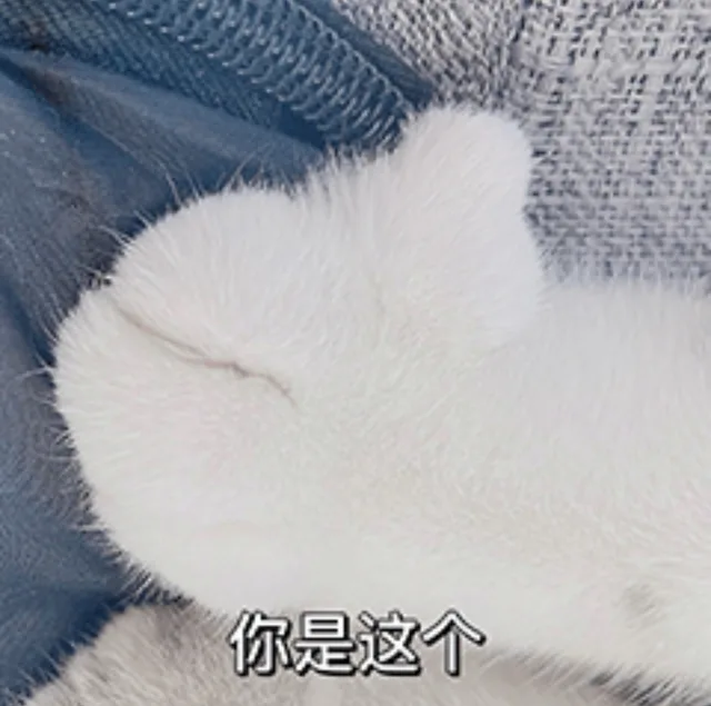 你是这个