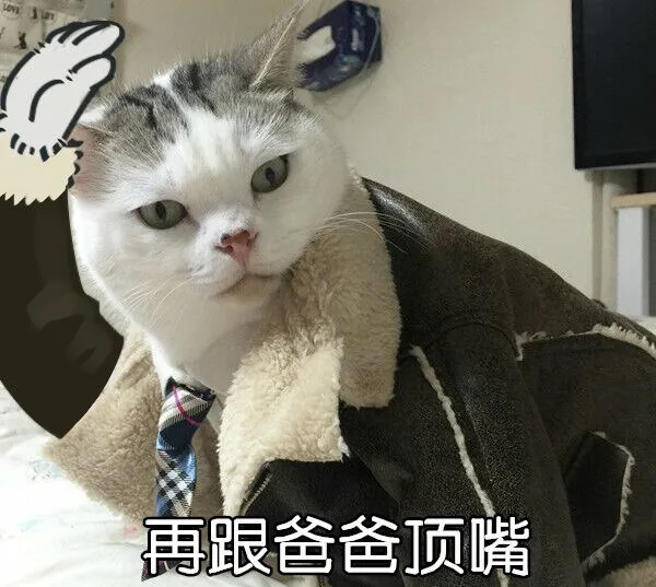 再跟爸爸顶嘴（再跟爸爸顶嘴）