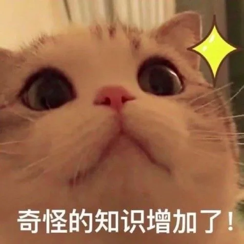 奇怪的知识增加了！（奇怪的知识增加了！）