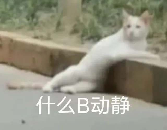 什么B动静（什么B动静）