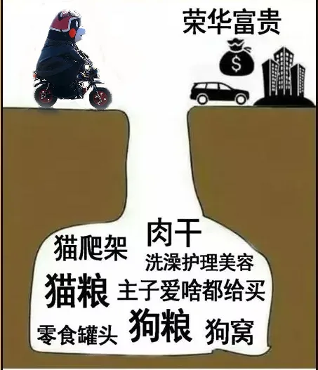 荣华富贵§肅猫爬架肉干洗澡护理美容猫粮主子爱啥都给买零食罐头狗粮狗窝（荣华富贵§肅猫爬架肉干洗澡护理美容猫粮主子爱啥都给买零食罐头狗粮狗窝）