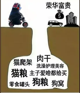 荣华富贵§肅猫爬架肉干洗澡护理美容猫粮主子爱啥都给买零食罐头狗粮狗窝