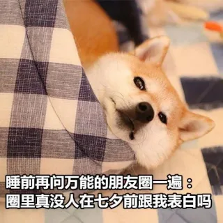 单身狗七夕专属表情包_七夕_单身狗_汪星人表情包