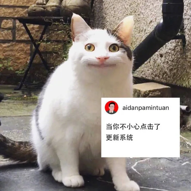 当你不小心点击了更新系统