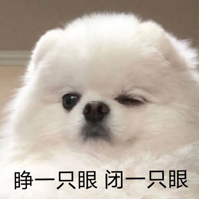 睁一只眼闭一只眼（睁一只眼闭一只眼）