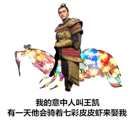 我的意中人叫王凯，有一天他会骑着七彩皮皮虾来娶我