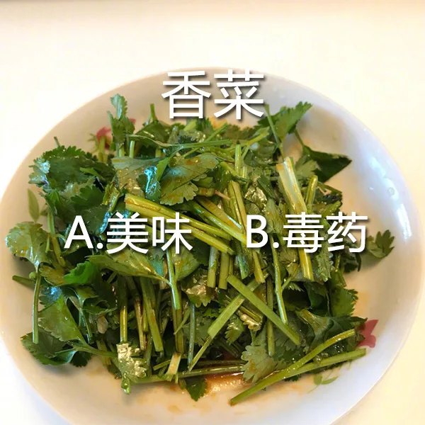 香菜：A美味B毒药（香菜：A美味B毒药）