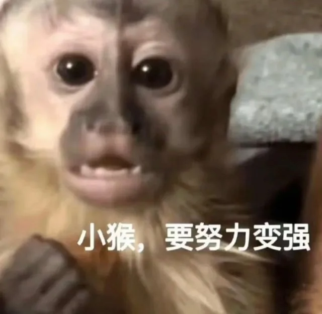 小猴，要努力变强（小猴，要努力变强）