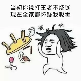 当初你说打王者不烧钱，现在全家都怀疑我吸毒