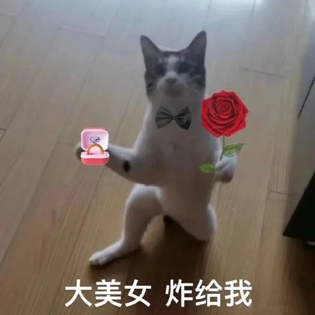 大美女炸给我（大美女炸给我）