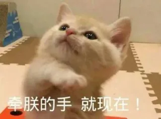 牵朕的手 就现在