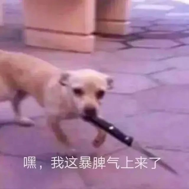 嘿，我这暴脾气上来了（嘿，我这暴脾气上来了）