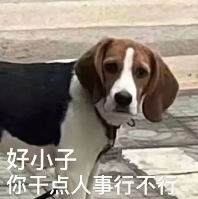 好小子你玉点人事行不行（好小子你玉点人事行不行）