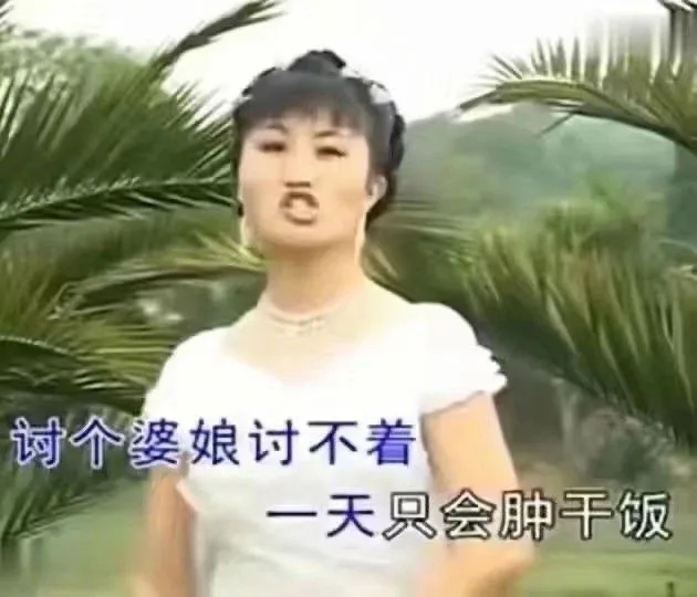 讨个婆娘讨不着一天只会肿干饭