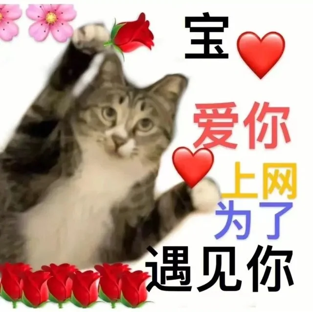 宝爱你上网为了遇见你（宝爱你上网为了遇见你）
