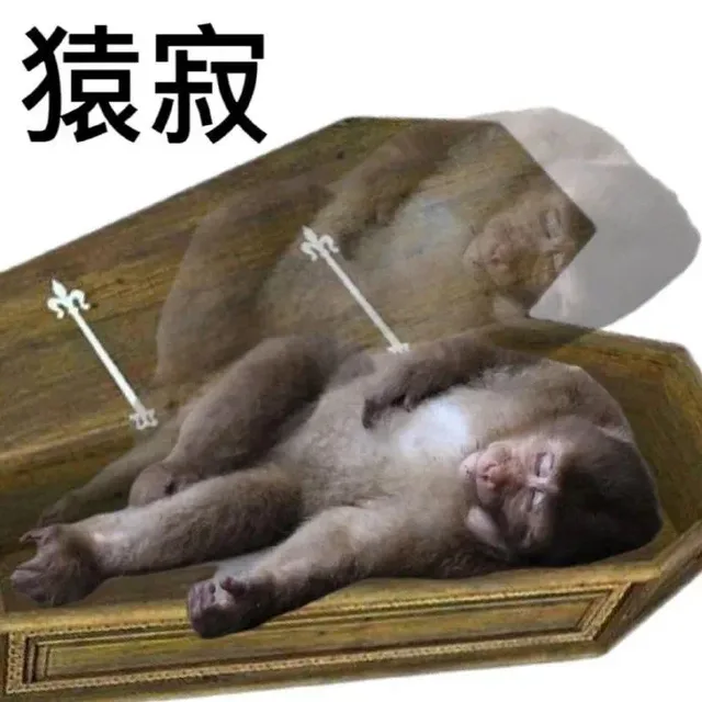 猿寂3（猿寂3）