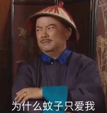 为什么蚊子只爱我（为什么蚊子只爱我）