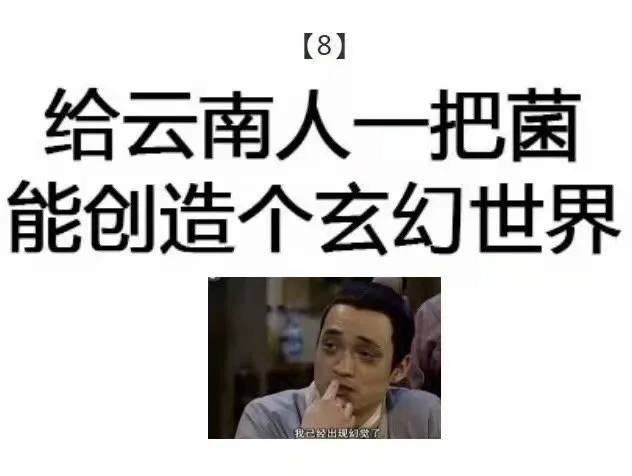 给云南人一把菌，能创造个玄幻世界（给云南人一把菌，能创造个玄幻世界）
