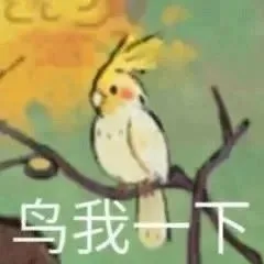 鸟我下（鸟我下）
