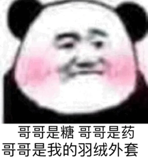 哥哥是糖哥哥是药哥哥是我的羽绒外套