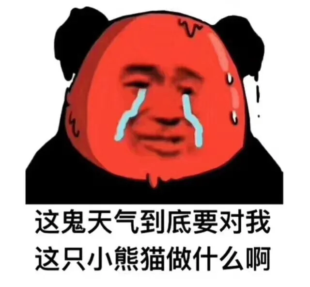 这鬼天气到底要对我这只小熊猫做什么啊（这鬼天气到底要对我这只小熊猫做什么啊）