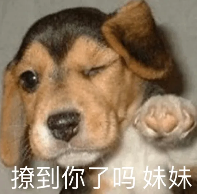 撩到你了吗 妹妹