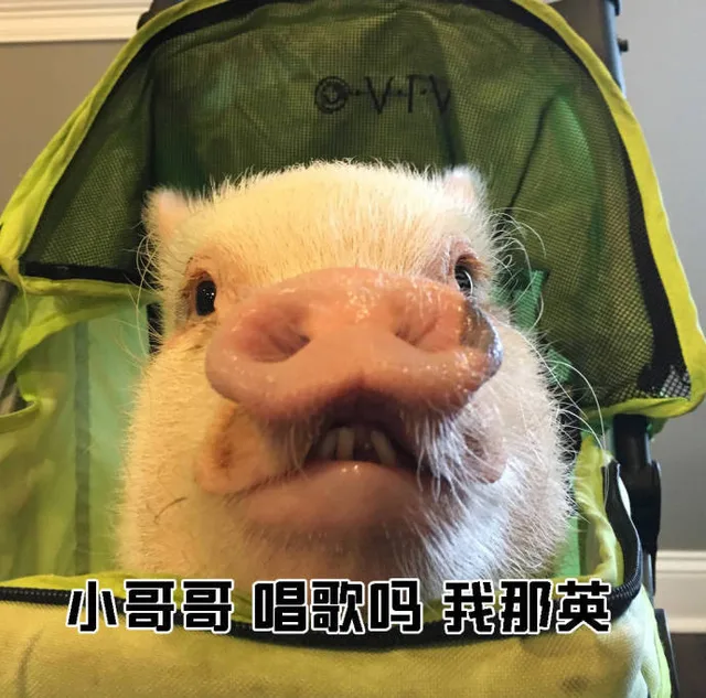 V小哥哥唱歌吗我那英