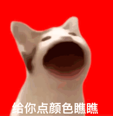 给你点颜色瞧瞧（POPO猫表情包）（给你点颜色瞧瞧（POPO猫表情包））
