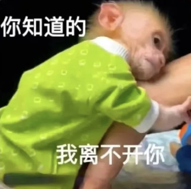你知道的我离不开你（你知道的我离不开你）