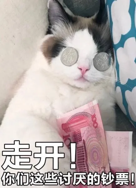 走开！你们这些讨厌的钞票！