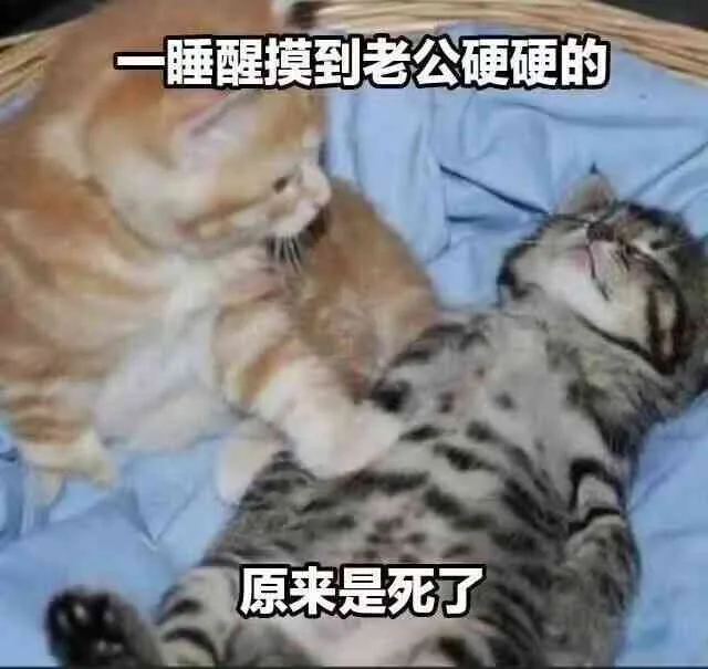 一睡醒摸到老公硬硬的原来是死了（一睡醒摸到老公硬硬的原来是死了）
