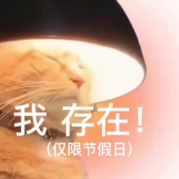 我存在(仅限节假日)