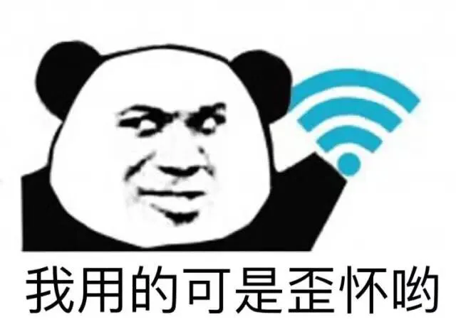 我用的可是歪怀哟（我用的可是歪怀哟）