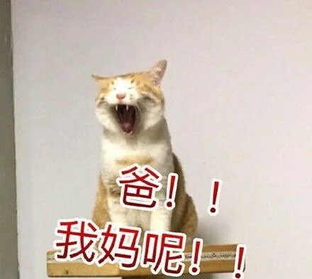 爸！我妈呢!!