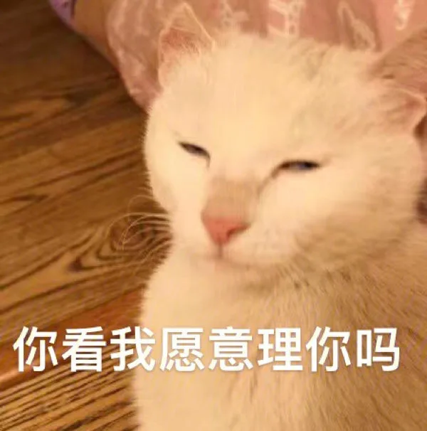 你看我愿意理你吗（你看我愿意理你吗）