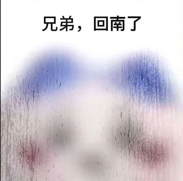 兄弟，回南了（兄弟，回南了）
