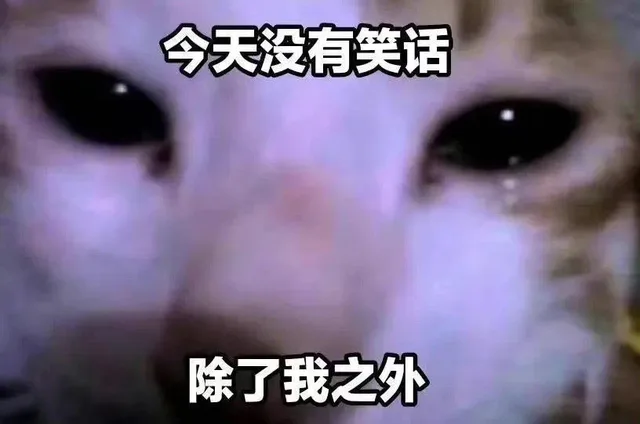 今天没有笑话除了我之外（今天没有笑话除了我之外）